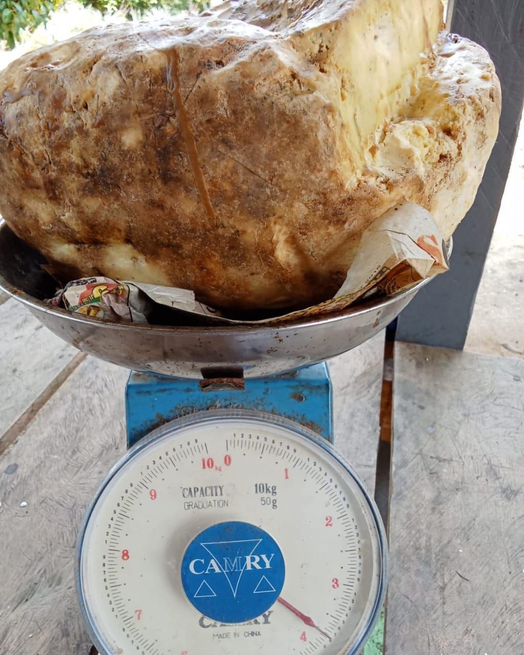 Ambergris (Whale Vomit)